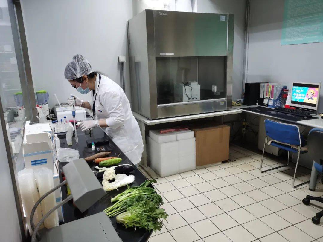 锡林郭勒食品检测实验室装修方案